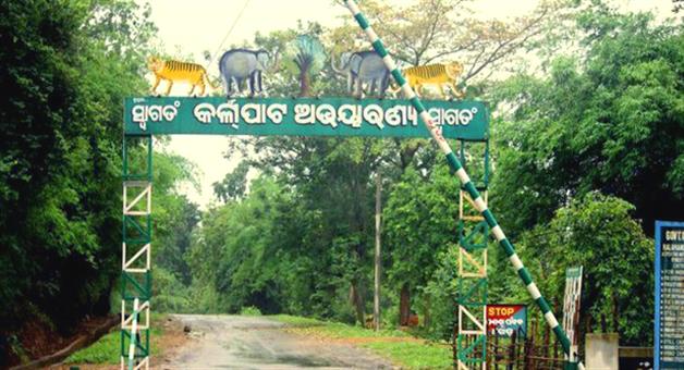 କାର୍ଲାପାଟ ପ୍ରାଣୀଧନ ନିରୀକ୍ଷକ ହାତୀ ମଡ଼କରେ ନିଲମ୍ବିତ ହେଲେ –